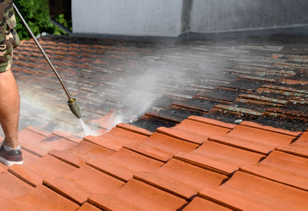 Best House Pressure Washing  in Norton Shores, MI