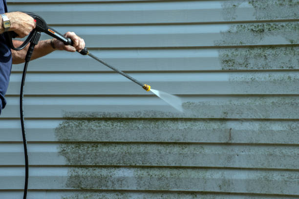 Local Pressure Washing Services in Norton Shores, MI