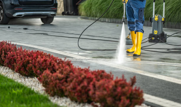 Best Roof Pressure Washing  in Norton Shores, MI